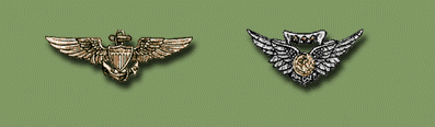 Naval Aviator's Wings and Combat Aircrew Wings