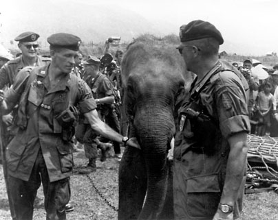 Army Special Forces Personnel and an Elephant