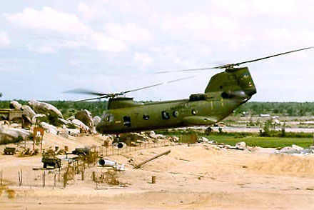 Grunts, grouped into "strings," at LZ Ross