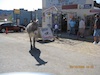 Oatman