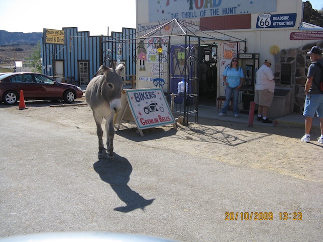 Oatman