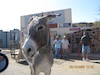 Oatman