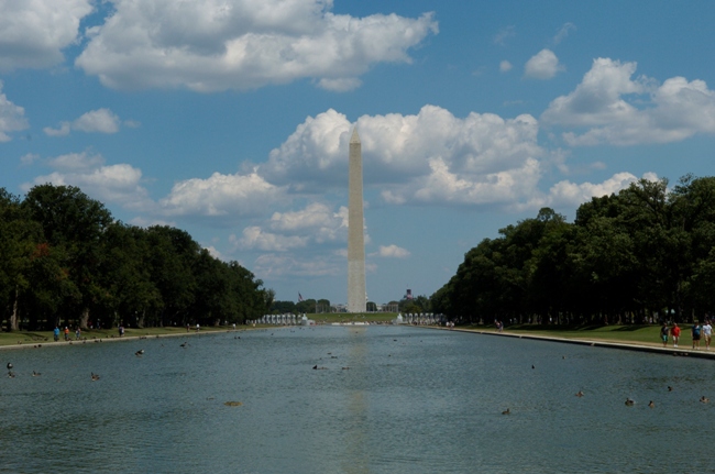 DC-Pic8