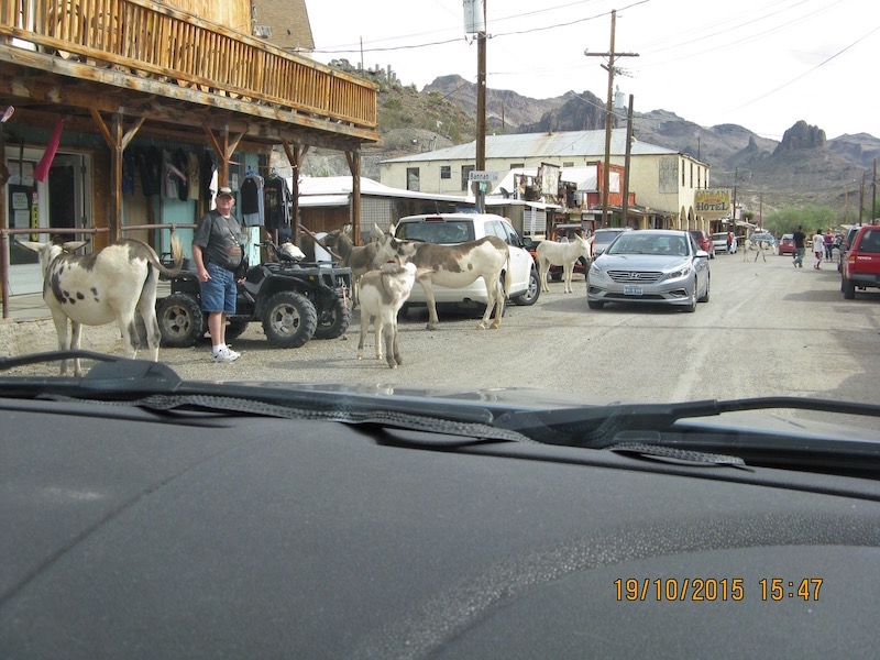 Oatman hotel