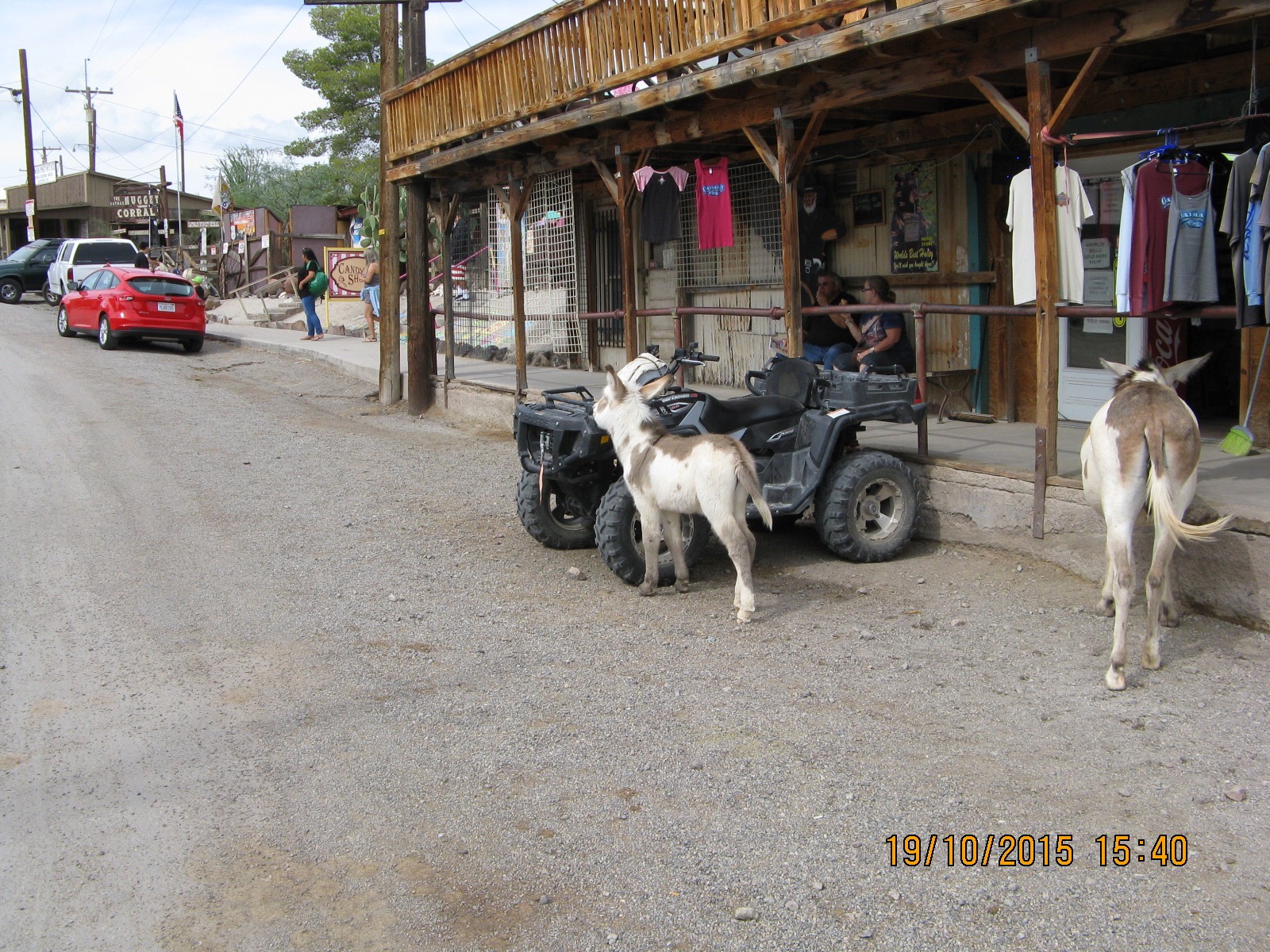 Oatman5  