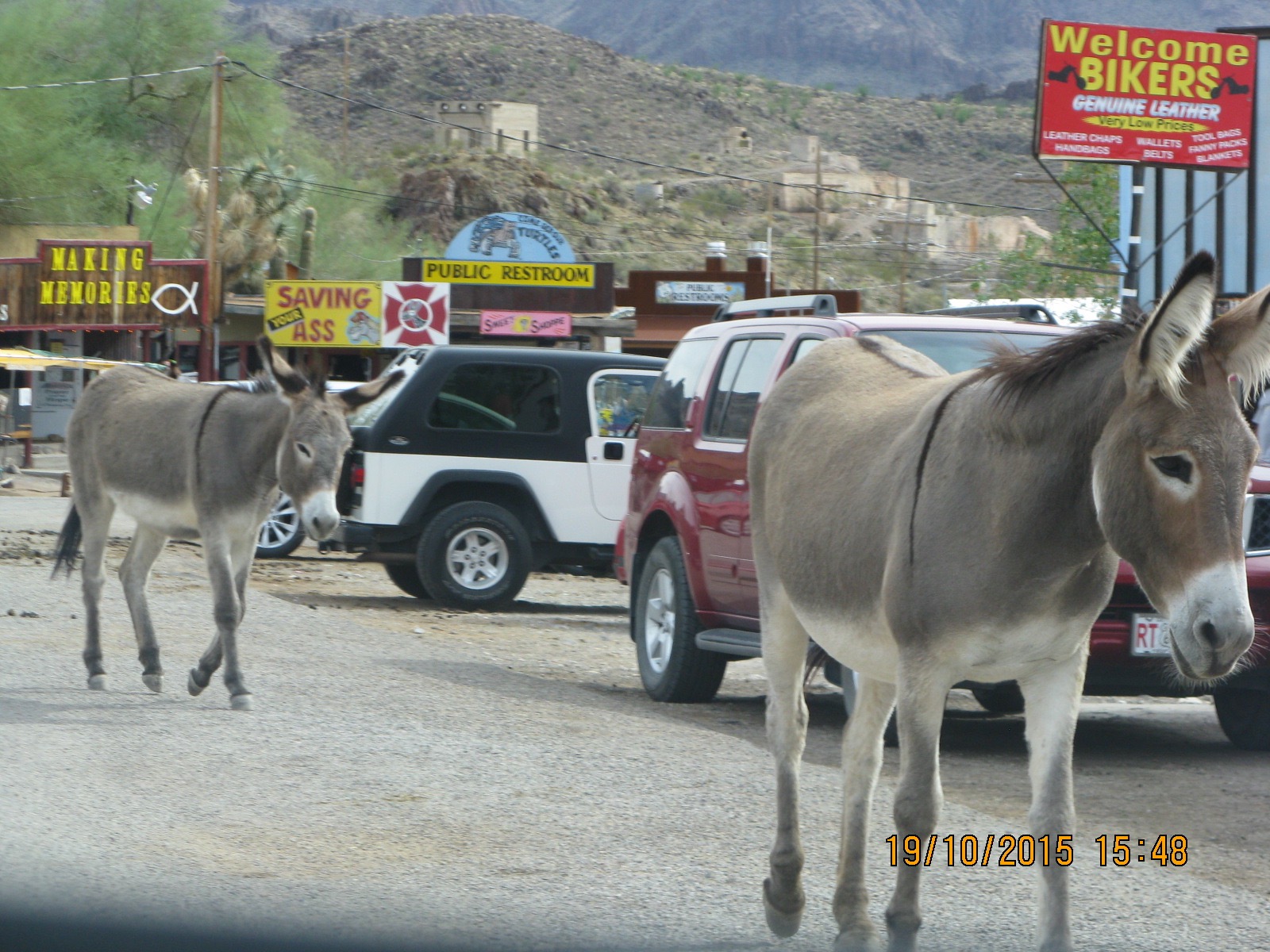 Oatman7 