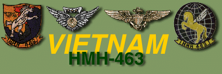 Naval Aviator's Wings and Combat Aircrew Wings