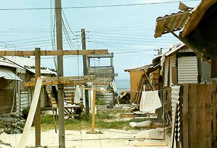 The Old Neighborhood