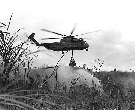 A Load of Dime-Nickle for Arty Position