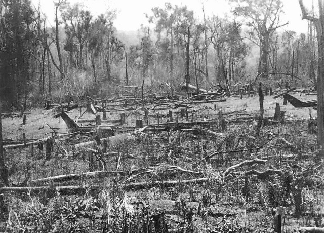 crash site